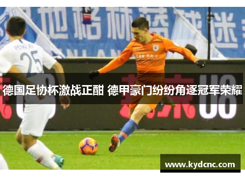 德国足协杯激战正酣 德甲豪门纷纷角逐冠军荣耀