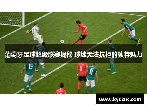 葡萄牙足球超级联赛揭秘 球迷无法抗拒的独特魅力