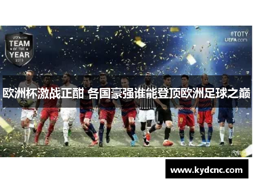 欧洲杯激战正酣 各国豪强谁能登顶欧洲足球之巅